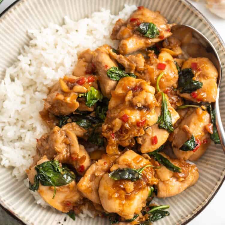 a ceramic bowl of rice topped with thai basil chicken. Around the bowl are chili peppers, garlic cloves and fresh thai basil.